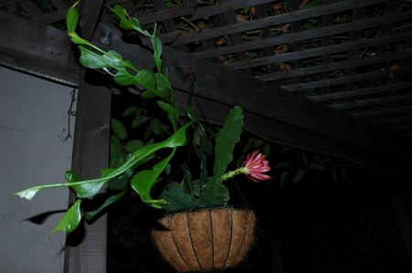 Enlarge photo 4