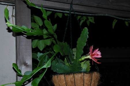 Enlarge photo 5