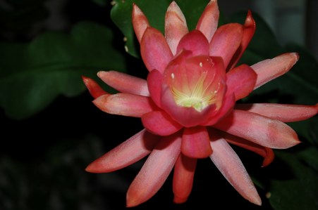 Enlarge photo 7