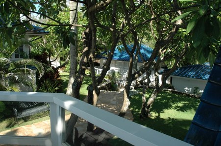 Enlarge photo 61