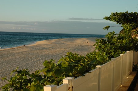 Enlarge photo 59