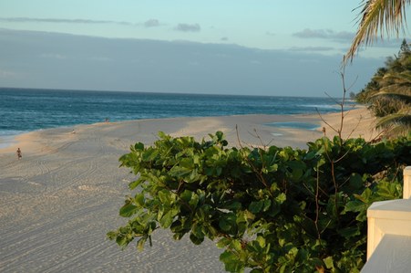 Enlarge photo 58