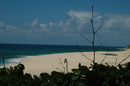 Enlarge photo 55