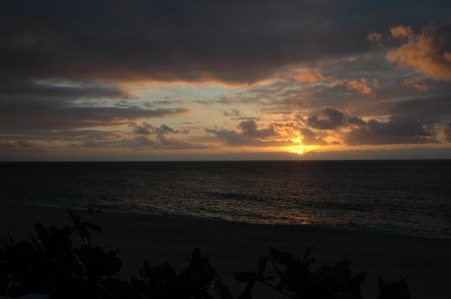 Enlarge photo 51