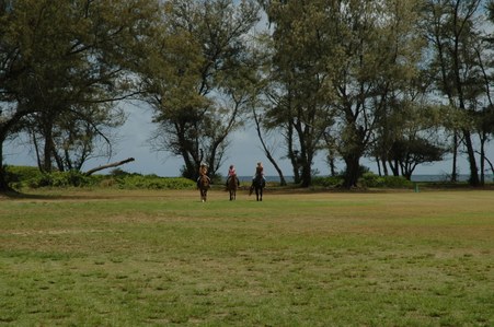 Enlarge photo 37