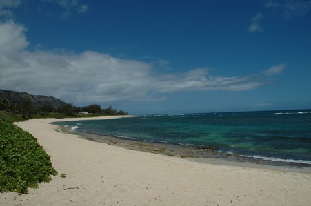 Enlarge photo 139