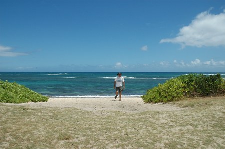 Enlarge photo 136