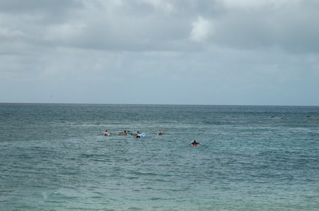 Enlarge photo 135
