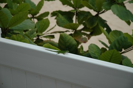 Enlarge photo 124