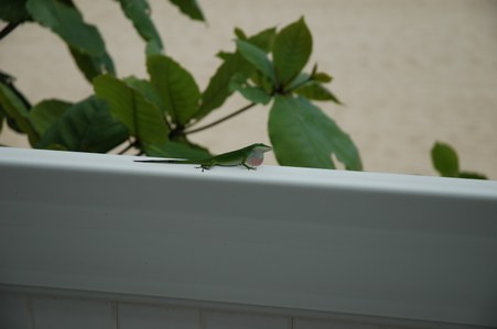 Enlarge photo 125