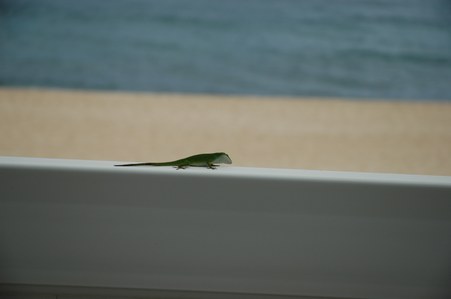 Enlarge photo 127