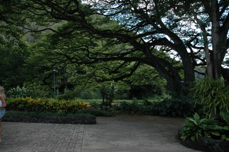 Enlarge photo 121