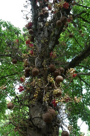 Enlarge photo 120
