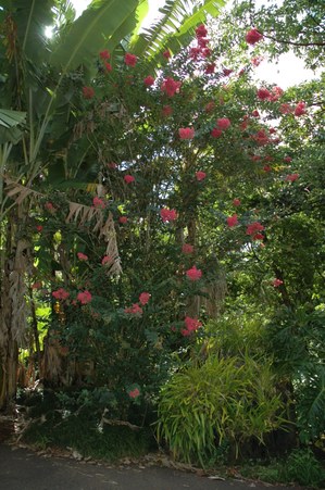 Enlarge photo 113
