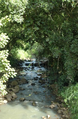 Enlarge photo 112