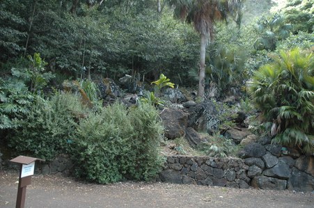 Enlarge photo 111