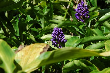 Enlarge photo 110
