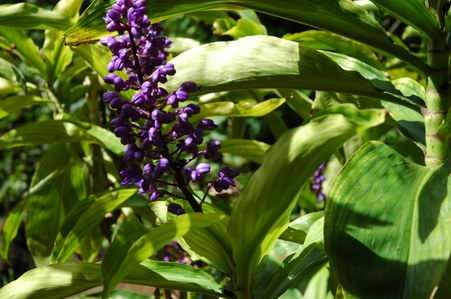 Enlarge photo 109