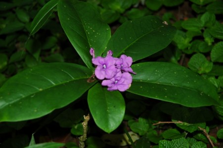 Enlarge photo 103