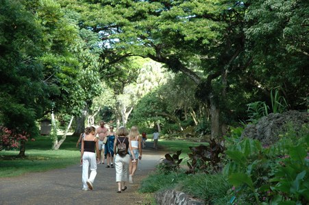 Enlarge photo 102