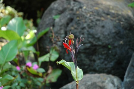 Enlarge photo 99