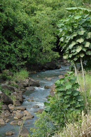 Enlarge photo 96