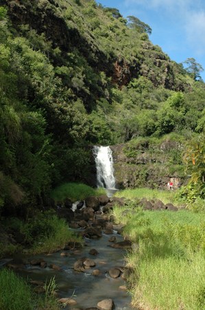 Enlarge photo 95