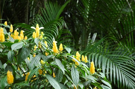 Enlarge photo 87
