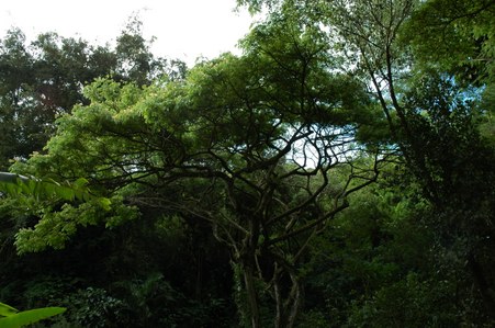 Enlarge photo 85