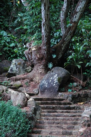 Enlarge photo 84