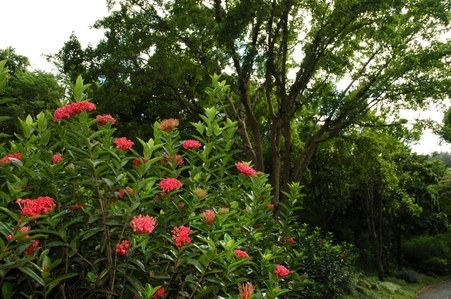 Enlarge photo 83