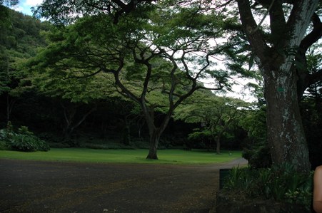 Enlarge photo 80