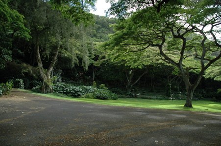 Enlarge photo 79