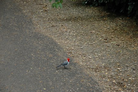 Enlarge photo 77