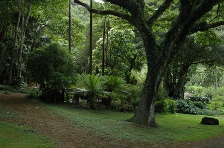 Enlarge photo 76