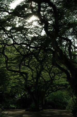 Enlarge photo 73