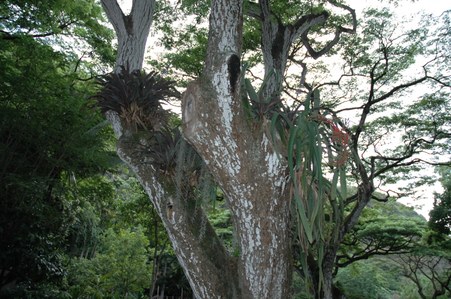 Enlarge photo 72