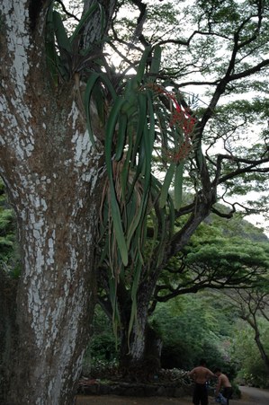 Enlarge photo 71