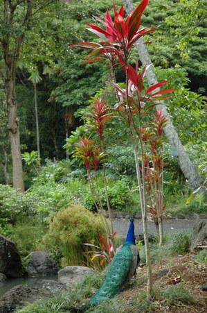 Enlarge photo 68