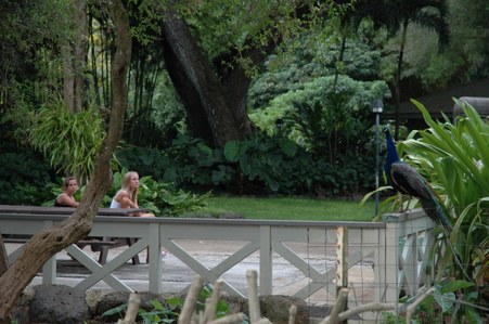 Enlarge photo 67