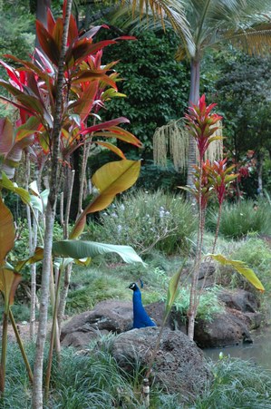 Enlarge photo 62