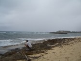 Enlarge photo 19