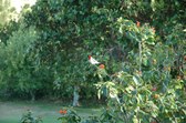 Enlarge photo 30