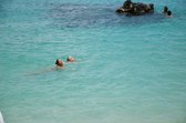 Enlarge photo 71