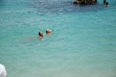 Enlarge photo 72