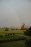 Enlarge photo 74