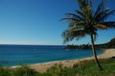 Enlarge photo 77