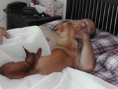 Enlarge photo 7