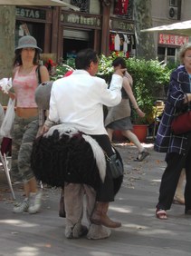 Enlarge photo 23