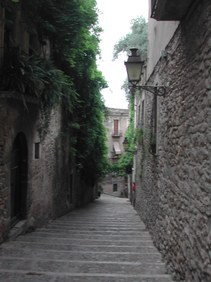 Enlarge photo 47